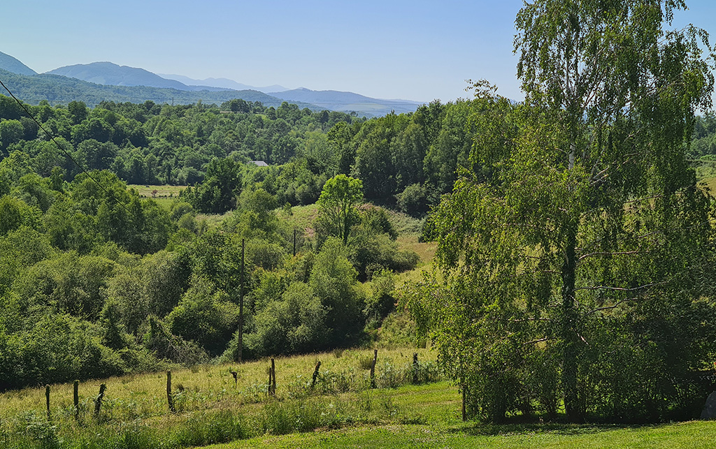 Gite Gousseau 64 vue montagne
